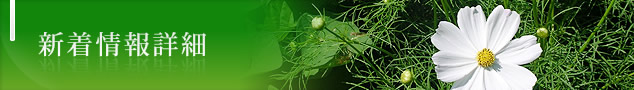 新着情報詳細